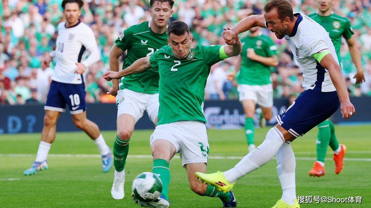 包含匈牙利队战胜波黑止步于八强的词条