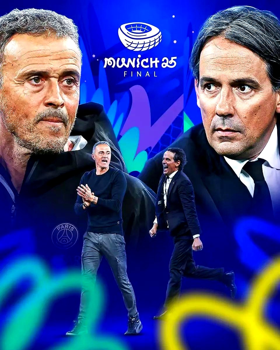 包含欧预赛冠军之路：法国队勇往直前的词条