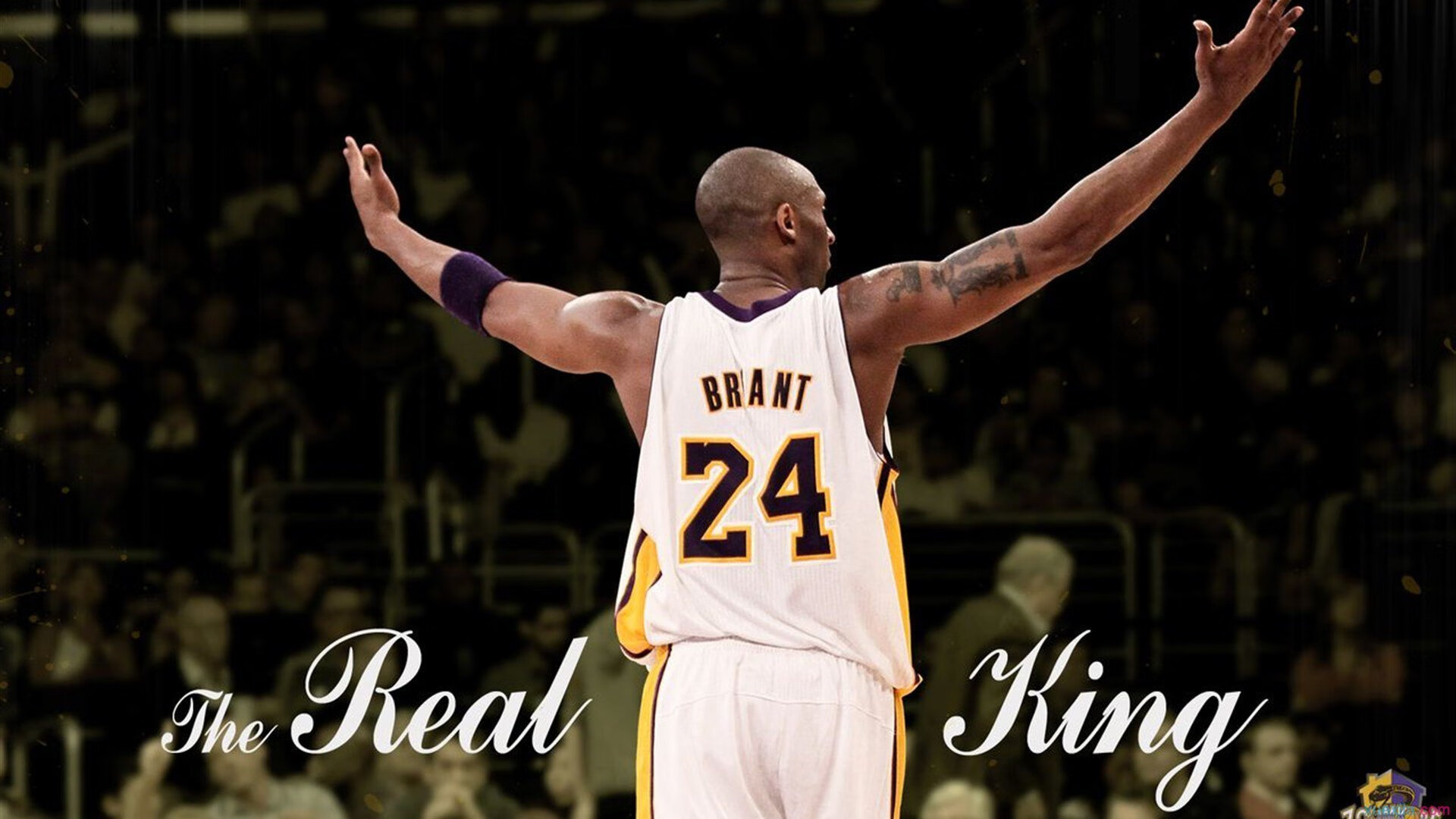 西决生死战之夜,德里赫特数据全面爆炸,防守艺术的终极诠释